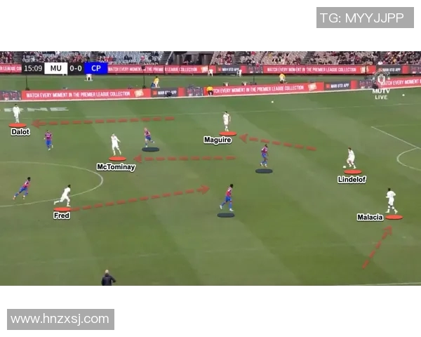 广州排球队区域防守革新之路：战术变革与团队协作的深度解析