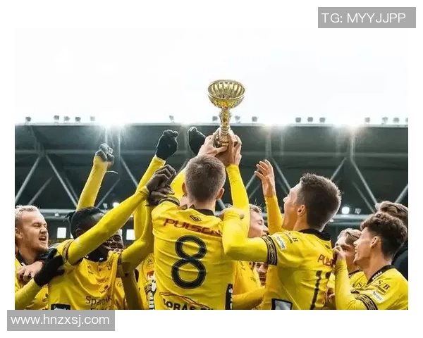 埃尔夫斯堡主场迎战奥斯特松双方争夺积分的关键对决 埃尔夫斯堡主场迎战奥斯特松双方争夺积分的关键对决