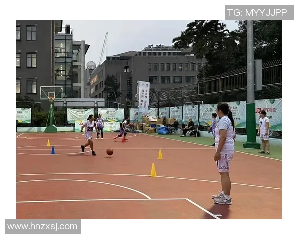 文成篮球明星的成长之路与辉煌成就揭秘