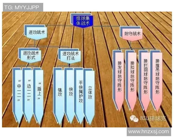 杭州排球队在奥运会上的灵活性表现与战术创新分析